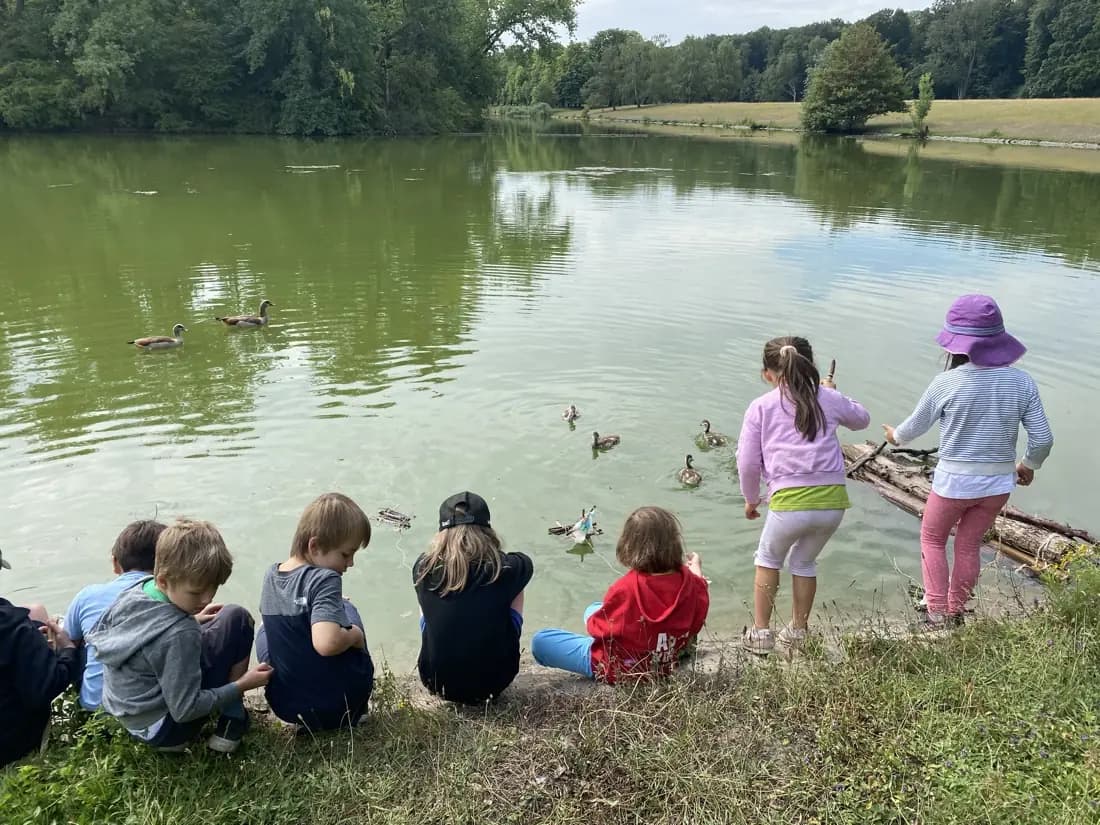 Eine Gruppe Kinder sitzt am Ufer eines Teichs und beobachtet Enten auf dem Wasser.