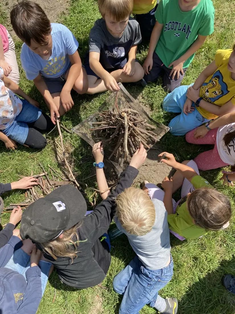 Aufsicht auf eine Gruppe Kinder, die gemeinsam Wurzeln und Äste aus dem Waldboden hebt.